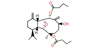 8-Butyryl-litophynol A